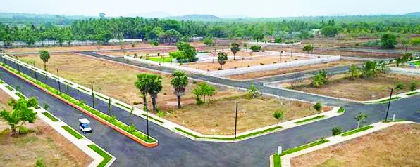 Looking for Plots in Noida Sector 150? Here’s What Investors Must Know
